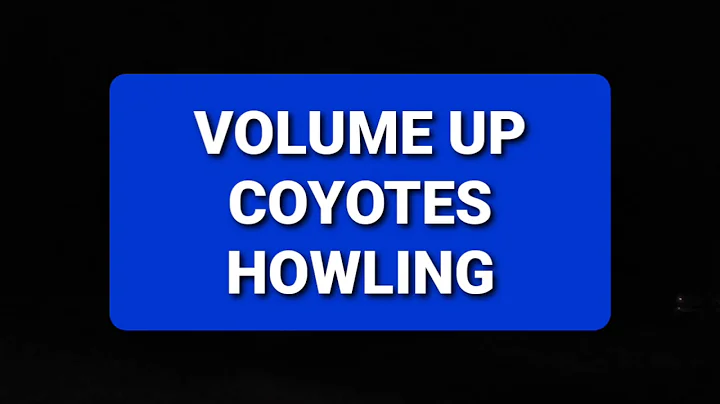 Coyote calling for the hunt!