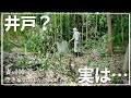 【井戸再生】木に水を撒きたかっただけなのに…甘かった。まさか〇〇だったとは。