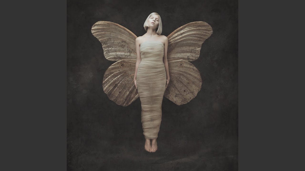 Running With The Wolves (Pablo Nouvelle Remix)