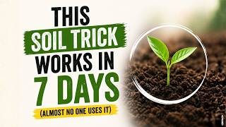 This Soil Trick Works In 7 Days-Almost No One Uses It