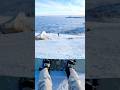 Когда весь мир у твоих ног… и облака тоже) #travel #mountains #сноуборд #snowboarding #путешествия