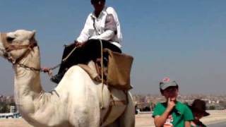Egyptian Slideshow!
