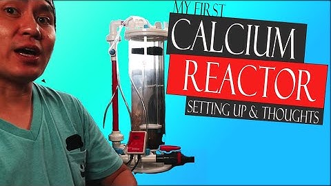 Setting Up My 1st Calcium Reactor