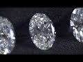 Diamonds 101: Oval Cut Diamonds