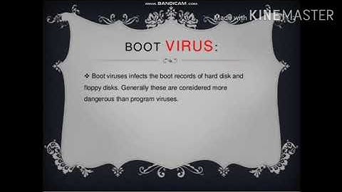 XII-TYPOGRAPHY & COMPUTER APPLICATION,  CHAPTER-6, COMPUTER VIRUSES