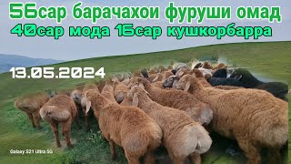 42сар модабарра 14сар кушкорбарра барои молкуни 13 мая 2024 г.