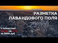 Что самое важное при посадке поля лаванды, которое будет выращиваться органическим методом?