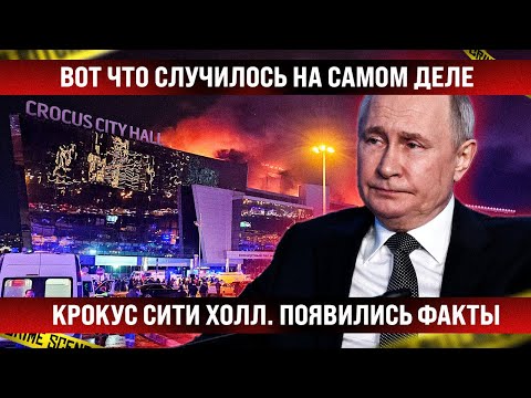 Вот что случилось на самом деле в «Крокус Сити Холл». Появились факты и подробности