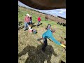 #ranching