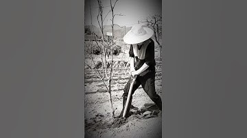 Thumbnail of 나훈아 - 사내 / Na Hoon-a - man