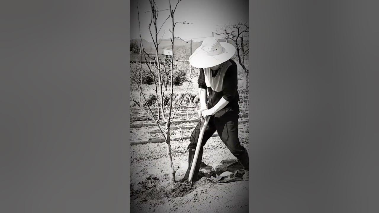 나훈아 - 사내 / Na Hoon-a - man