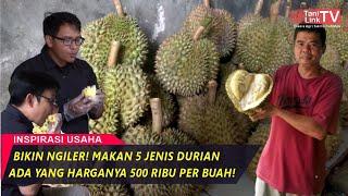 Review 5 Jenis Durian Paling Istimewa di Indonesia. Montong, Kani, Bawor, Duri Hitam dan Musang King