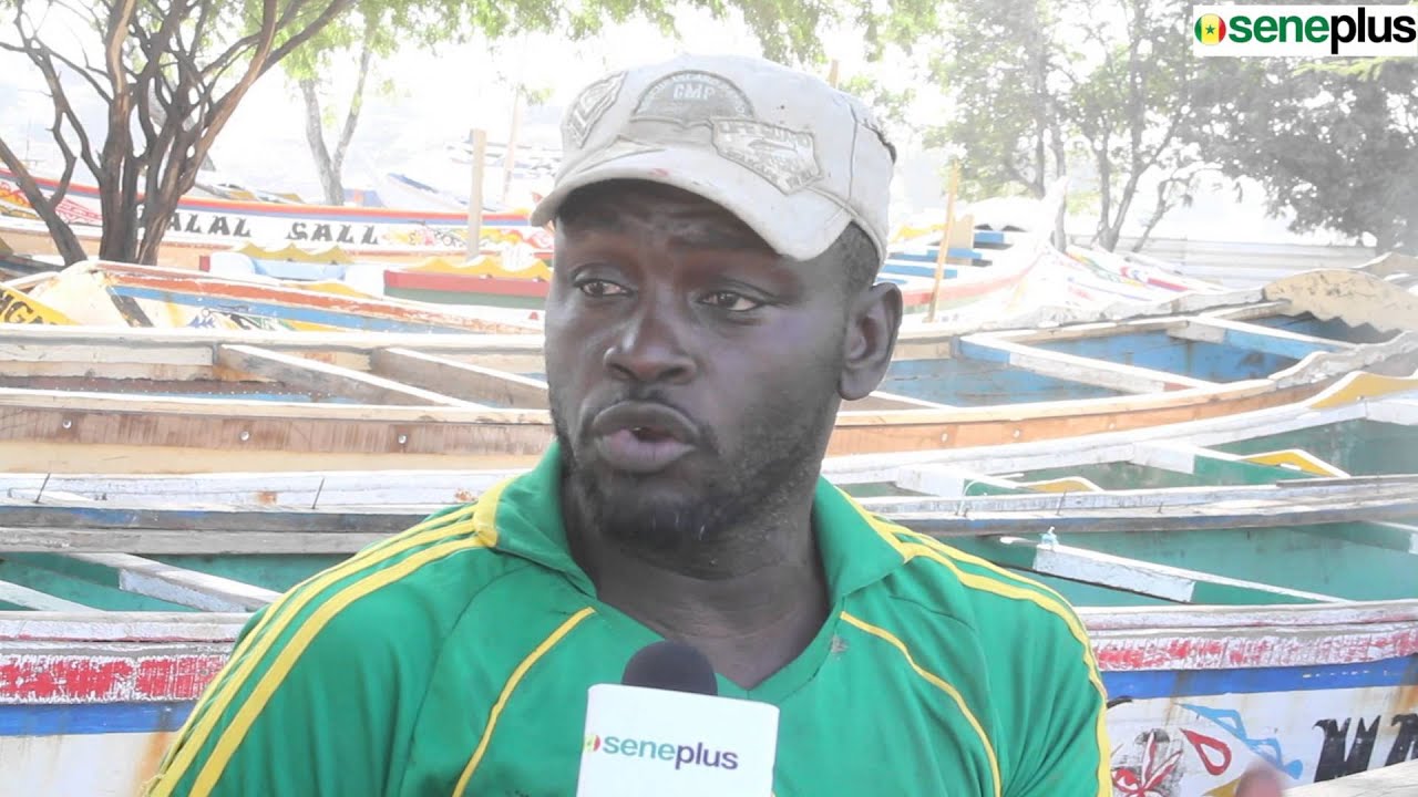 Dans l'univers des fabricants de pirogues à Soumbédioune - SenePlus.com