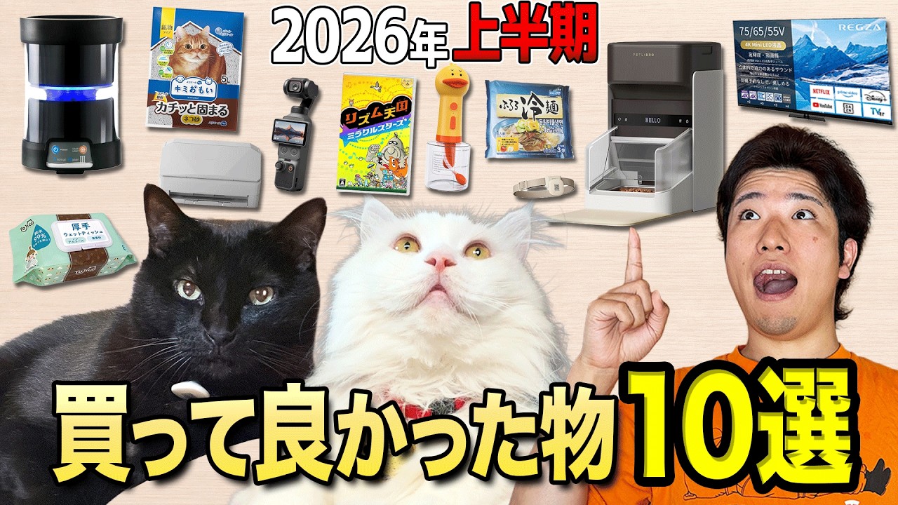マジでこれ買って良かったです!!