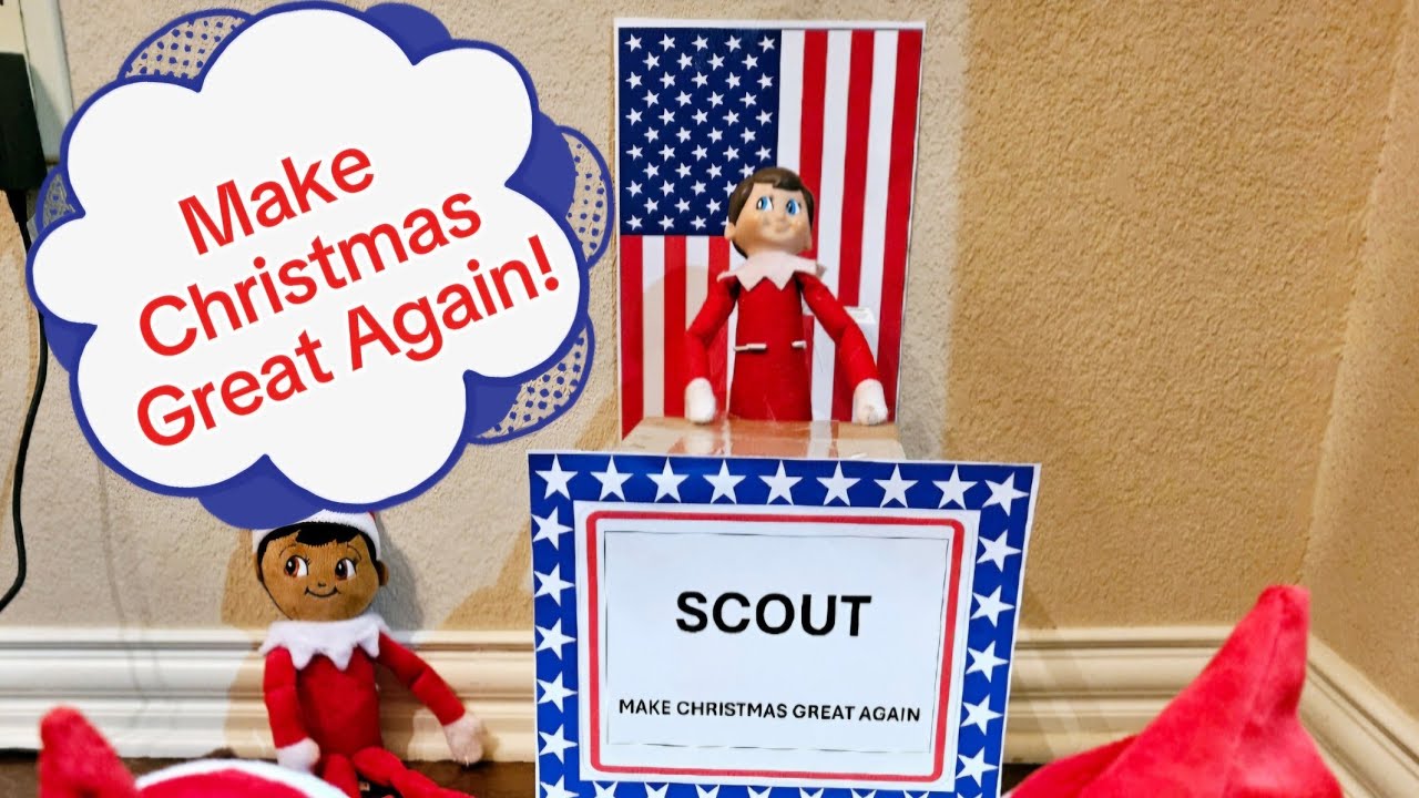 Day 2: 2024 Christmas Countdown. Vote for Scout