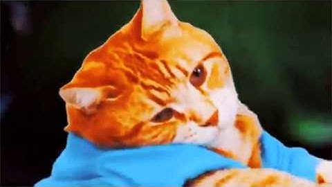 DOWNCAT RECORDS [CATNIP RAVE] PARTY PROMOTION VIDEO