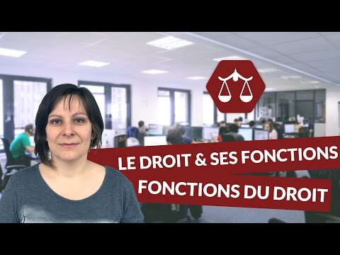 Vidéo: Fonctions De La Théorie Générale Du Droit