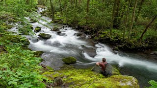 Great Smoky Mountains National Park Backpacking (TN)  May 2023