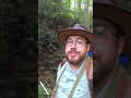 Hello friends! A little North Georgia Tenkara preview thingy