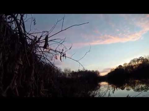 Old Hickory 2014 Black Powder Shotgun Duck Hunt