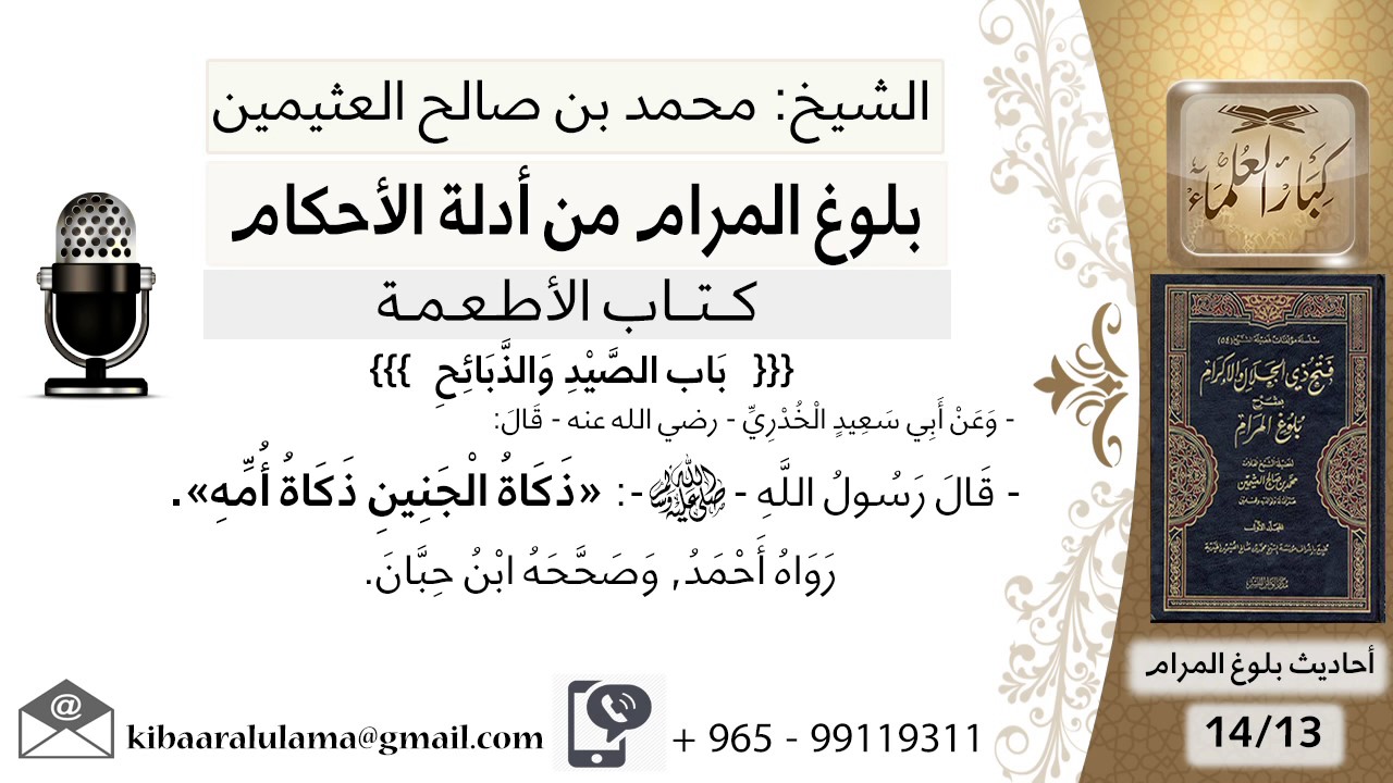 26   بلوغ المرام – شرح حديث ابي سعيد ذكاة الجنين ذكاة أمه - الشيخ محمد بن صالح العثيمين