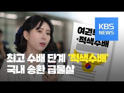 ‘명예훼손·후원금 사기 의혹’  윤지오, 인터폴 적색수배 / KBS뉴스(News)