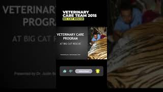 Vet Care Presentation By Dr. Boorstein~Part 1 Of 59