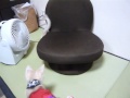 赤いドレスを着たまま回転あぐら座椅子でぴょんぴょん跳ねる子猫