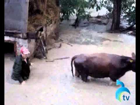 სტიქია ქვიშხეთში