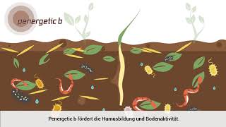 Erklärungsvideo Penergetic L+G Deutsch 20201210