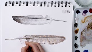 How to paint realistic feathers in watercolor with Anna Mason