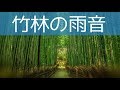 【癒しの自然音】竹やぶで聞く雨音！癒し BGM