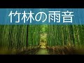 【癒しの自然音】竹やぶで聞く雨音！癒し BGM