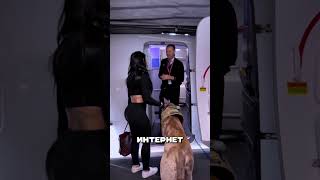 Как взять собаку в самолет? ✈️🤯🦮
