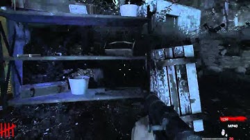 World at War | Custom Zombies | Seelow