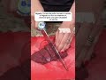 💯🚨tips 🚨💯 para los cuidados del pelaje de tu mascota✅