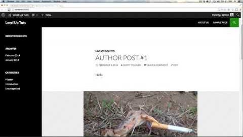 WordPress Basics For Beginner  Part 14 - How To Use Widgets