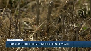 Agriculture and Texas Drought