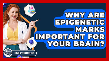 Why Are Epigenetic Marks Important For Your Brain? - Brain Development Hub