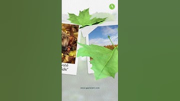 Earth Day: Reforestation Starts With Us