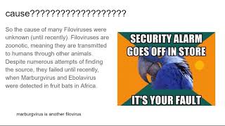 The Filovirus