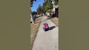Person Watches Food Delivery Robot Crash Into Wall - 1411579