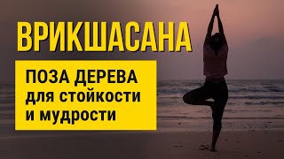 Врикшасана: польза асаны и техника выполнения. Поза дерева в йоге для здоровья и молодости