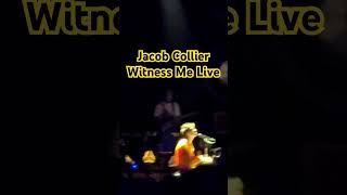 Witness Me Jacob Collier Live #shorts #jacobcollier #witnessme