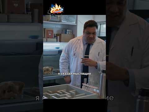 Описание подходит под многих знакомых🤣🤣 #мем #смешно #комедия #сериал #shorts