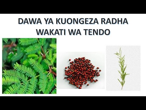 Video: Ugonjwa Wa Kuvu (Sporotrichosis) Ya Ngozi Katika Paka