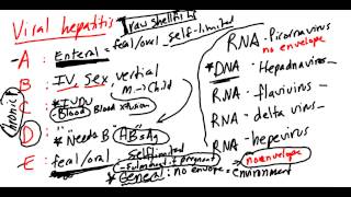 Viral Hepatitis Made Simple!