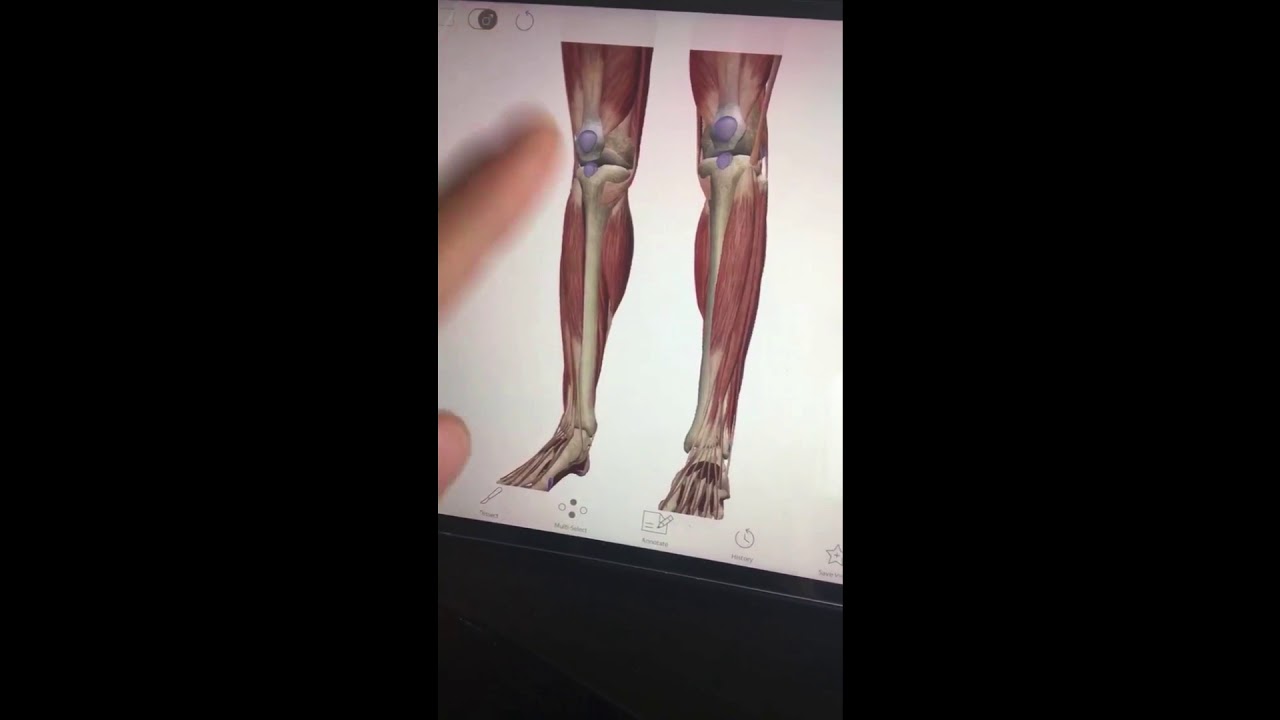 Why Do Soccer Players Wear Shin Guards/What are Shin Splints? (30 Second Explanation!) - YouTube