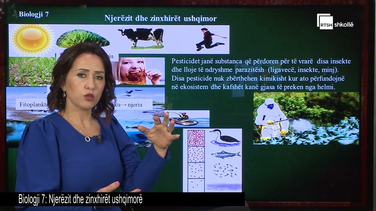 Njerëzit dhe zinxhirët ushqimorë | Biologji 7