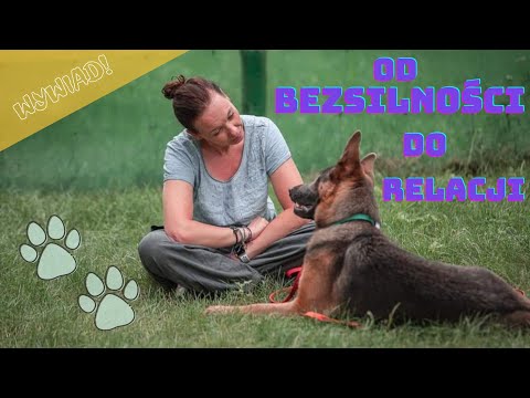 Wideo: Jak Radzić Sobie Z Ubytkiem Słuchu Starszego Psa Dog